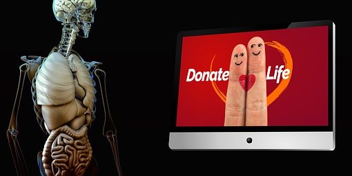 ley de trasplante donación de organos