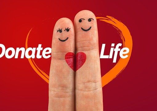 trasplante de organos argentina 2020