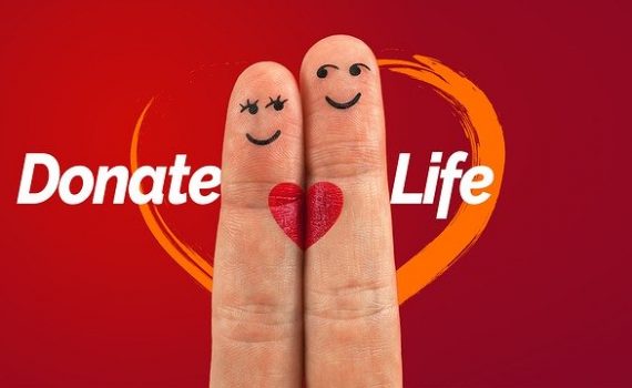 trasplante de organos argentina 2020